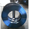 51CrV4 1.8159 Mavi Yaylı Çelik Şeritler